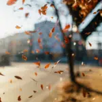 Saiba como cuidar da alimentação no outono